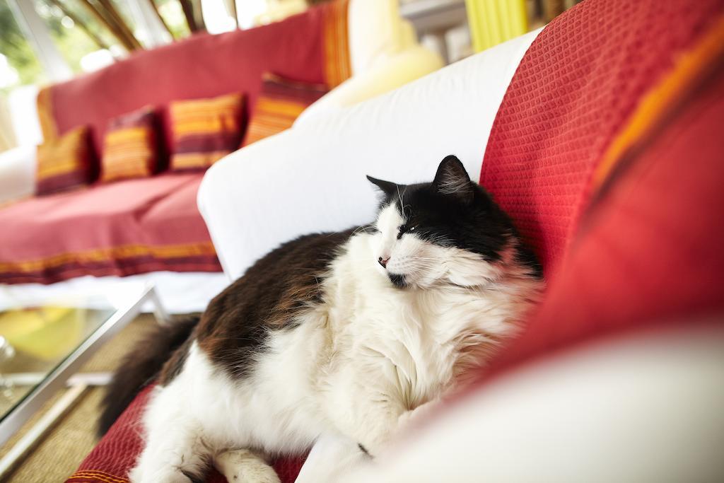 Carnac Lodge Hotel & Spa ปลูอาร์แนล ภายนอก รูปภาพ